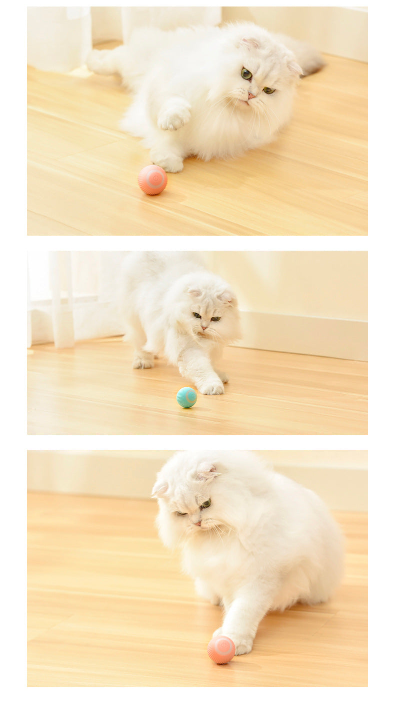 Katzen Fun Ball